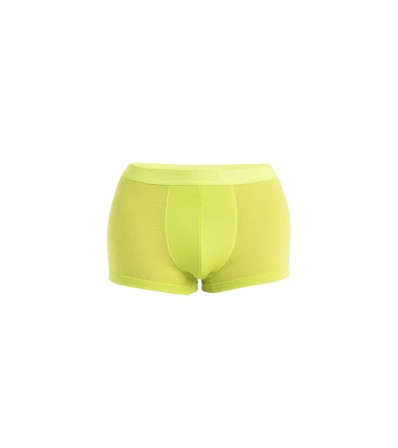 Icebreaker Anatomica Cool-Lite Trunks M's Summer 2024