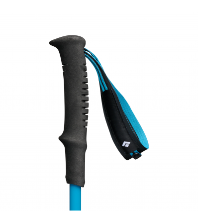 Black Diamond Distance Carbon FLZ Poles