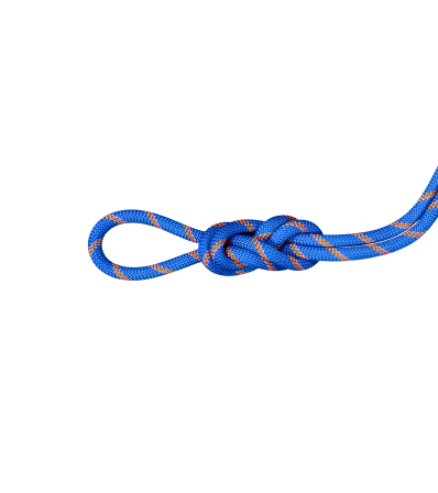Climbing Rope Mammut 9.0 Alpine Sender Dry Rope Standard 60M Winter 2025