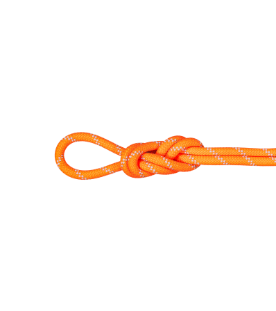 Mammut 9.5 Alpine Dry Rope Dry Standard 70m Winter 2025