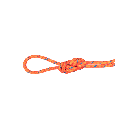Climbing Rope Mammut 7.5 Alpine Sender Dry Standard 60M Winter 2025