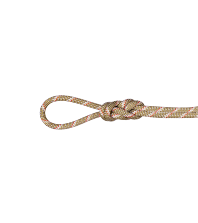Climbing Rope Mammut 8.0 Alpine Classic 60m Winter 2025