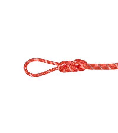 Climbing Rope Mammut 8.0 Alpine Classic 60m Winter 2025