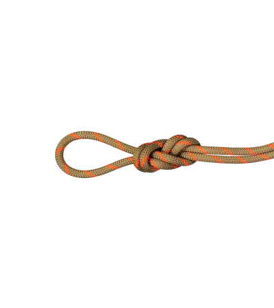 Mammut 8.0 Alpine Dry Rope Dry Standart 30M Winter 2025