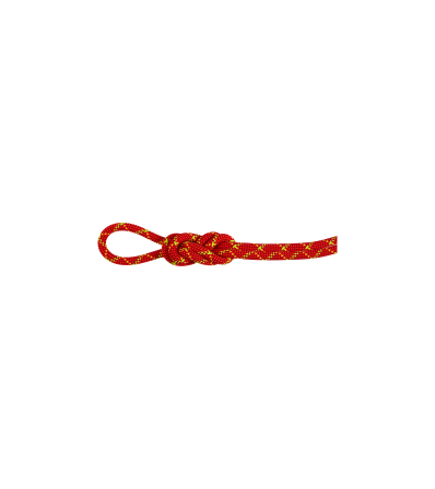 Mammut 8.0 Alpine Core Protect Dry Rope 50m Winter 2025