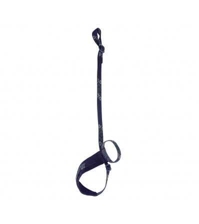 Black Diamond Lockdown Leash Winter 2024