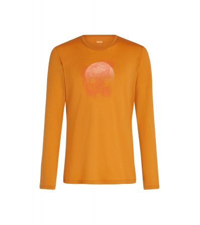 Icebreaker Merino 200 Oasis LS Crewe Thermal Top Ruapehu Round M's Winter 2025