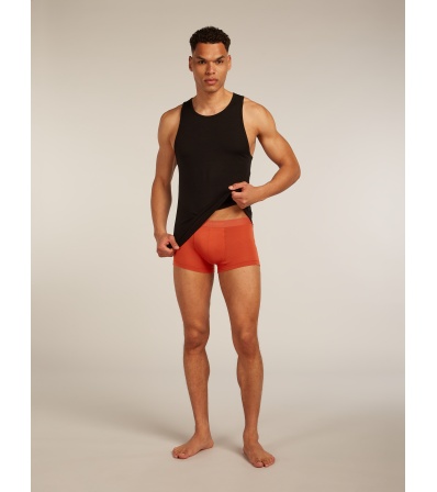 Icebreaker Merino Blend 125 Cool-Lite Anatomica Trunks