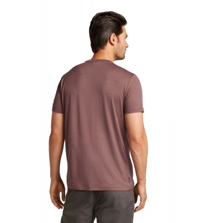 Icebreaker Merino 150 Tech Lite SS T-Shirt Polar Paddle M's Summer 2025