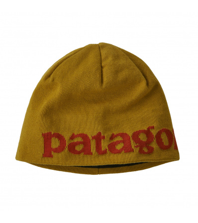 Patagonia Beanie Hat