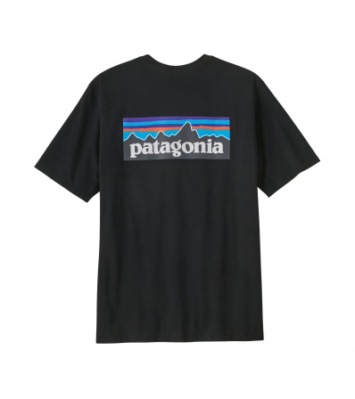 Patagonia P-6 Logo Responsibili-Tee M's Summer 2025