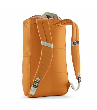 Patagonia Fieldsmith Linked Pack 25L Summer 2024