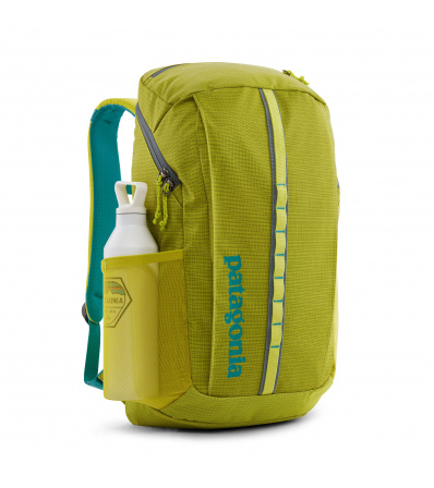 Patagonia Black Hole Pack 25L Summer 2024