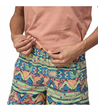 Patagonia Baggies 5