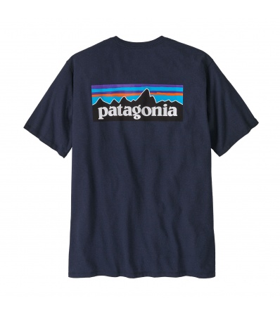 Patagonia P-6 Logo Responsibili-Tee M's Summer 2025