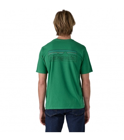 Patagonia P-6 Logo Responsibili-Tee M's Summer 2025