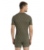 Icebreaker M's Merino 150 Anatomica Short Sleeve T-Shirt First Snow Winter 2024