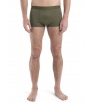 Icebreaker Anatomica Cool-Lite Trunks M's Summer 2024