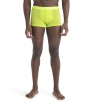 Icebreaker Anatomica Cool-Lite Trunks M's Summer 2024