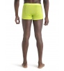 Icebreaker Anatomica Cool-Lite Trunks M's Summer 2024