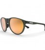 Sunglasses Spektrum Null Gold Lens 