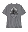 Patagonia Chouinard Crest Pocket Responsibili-Tee M's Summer 2025