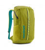 Patagonia Black Hole Pack 25L Summer 2024