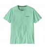 Patagonia Fitz Roy Icon Responsibilitee T-shirt Summer 2025
