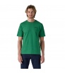 Patagonia P-6 Logo Responsibili-Tee M's Summer 2025