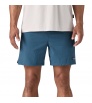 Patagonia Baggies Lights 6