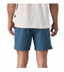 Patagonia Baggies Lights 6