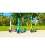 Razor Wild Ones Junior Kick Scooter