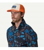 Patagonia P-6 Logo Trucker Hat Summer 2025